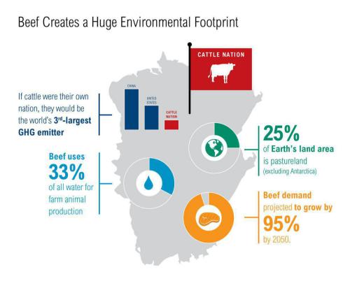 ٢٥٪‏زمین و٣٣٪‏ آب جهان برای تولید گوشت گاو مصرف می‌شود. مجمع فعالان اقتصادی
